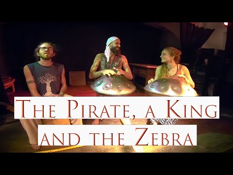 The Pirate, a King and a Zebra / Zaora Instruments, Meridian Handpan