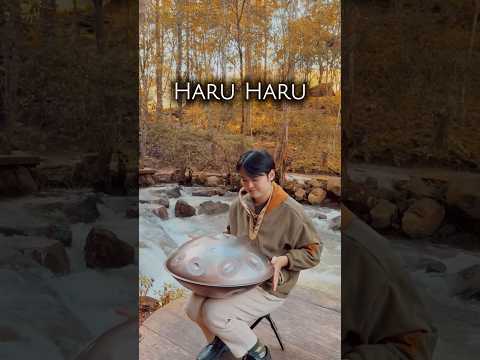 Cùng kết lại 2025 bằng “bản nhạc quốc dân” nhé 💕 #ChiHung #handpan #chill #haruharu