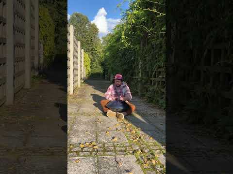 urban garden / Handpan D Kurd / autumn vibes #handpan #healing #higherconsciousness #artist #music