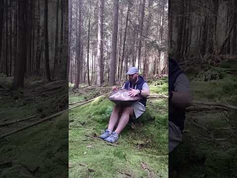 Atmen im Wald