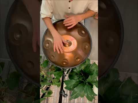 D Amara 9 Notes Stainless Steel Handpan 440Hz | Zendō Sounds