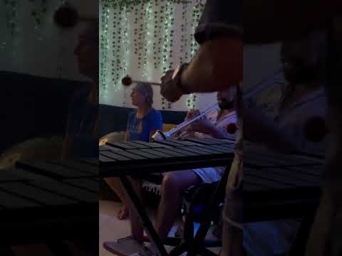Meditación Guiada por el Sonido del Hang Drum 🧘‍♀️