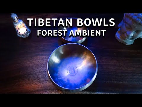 Tibetan Bowl | SOUL REJUVENATION | 1-Hour Blissful Meditation & Relaxation