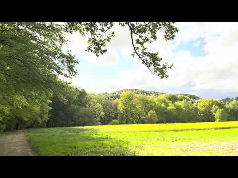 Frühling. Spring. | E Amara 21 Handpan