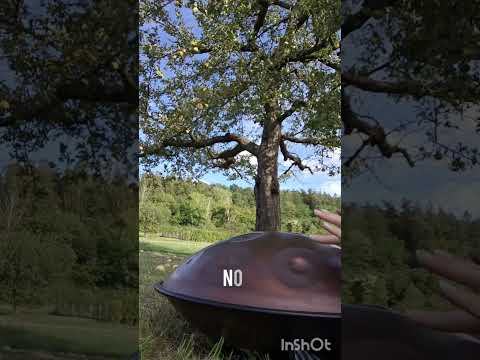 E Amara Handpan Melodie #music #handpan #peace #myowncontent #reiki #percussion #drummer #drumming