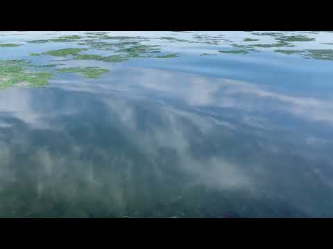 Aegean "C" - Handpan 4k