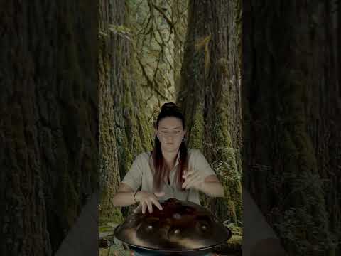 Imaginative Handpan Music in an Enchanted Forest | Planet Ding