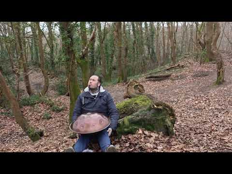 Echoes of the Damp Woods: E Amara 20 Handpan Journey | Phil Cook