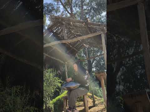 a moment in a sunbeam - handpan - Nov 27 2025
