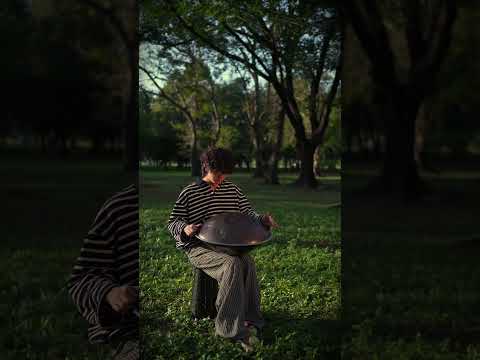 🎵E Amara 20 notes handpan #handpanmusic #handpanshop #handpansolo  provided by the Hank Lee