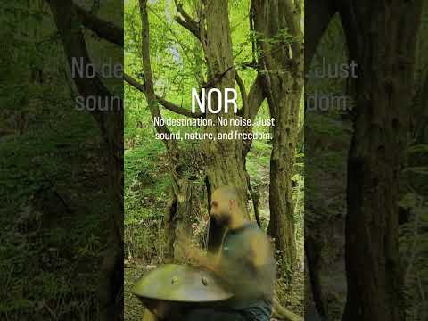 Between the sound and the silence, Noor finds its light. 🌿✨#Handpan #HandpanMusic #InnerLight