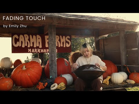 Fading Touch丨Handpan D Kurd 10丨Emily Zhu