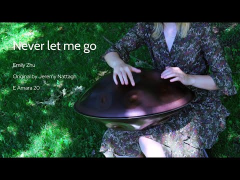 Never Let Me Go丨Handpan E amara 20丨Emily Zhu
