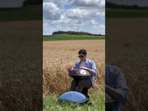 Handpan F# Pygmy 18 - Wheat filed - Boutigny - France