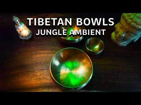 Tibetan Bowl & Jungle Ambient | SOUL REJUVENATION | 1-Hour Blissful Meditation & Relaxation