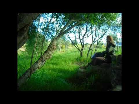 green heart, green earth [handpan impro]