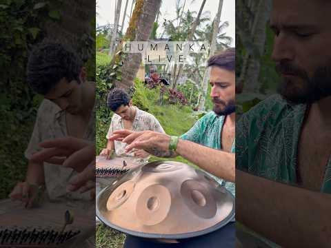 Bali'nin Büyülü Tarlalarında Bir An 🌾 #worldmusic #riceterrace #meditation