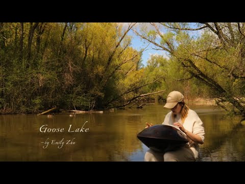 Goose Lake丨Handpan E amara 20丨Emily Zhu