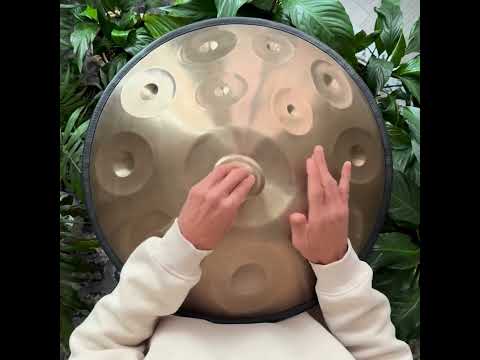 D Kurd 12 Notes Handpan, 440 Hz - Stainless Steel | Zendo Sounds