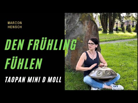 Handpan Flow | Groove Impro im Park | Taopan Mini D Moll Variation #groove #handpanmusic