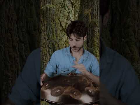 Creative Handpan Improvisation in the Forest 🌿 | Planet Ding