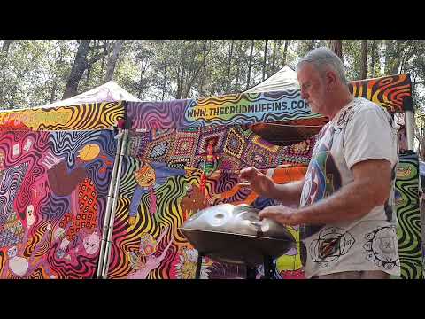 The Aussie Bush