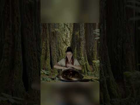 Handpan Magic Deep in the Enchanted Forest | Planet Ding