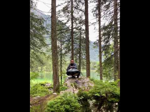 Handpan in the Magic Forrest