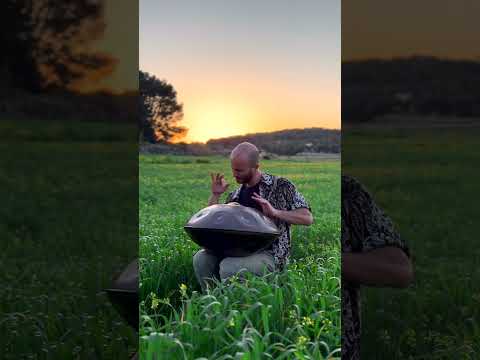 Handpan F#2 Nordlys