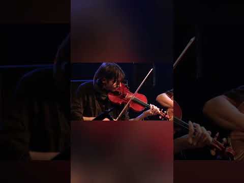 Yago Mellado Violin @yanub.musica