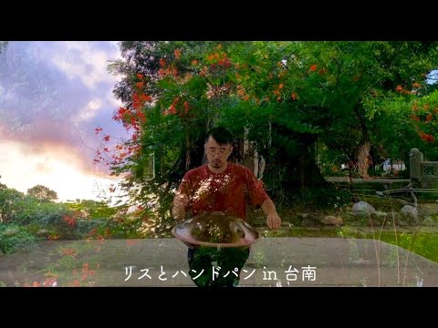 リスとハンドパン in 台南