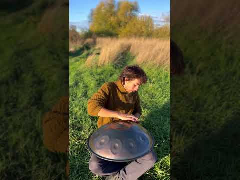 BeatRise Nitrided Steel Handpan - D Kurd 10 - Marius #shorts
