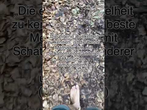 Handpan Musik mit Zitaten #shorts, D Kurd 8+1 Edelstahl ( inspiriert von @MalteMarten )