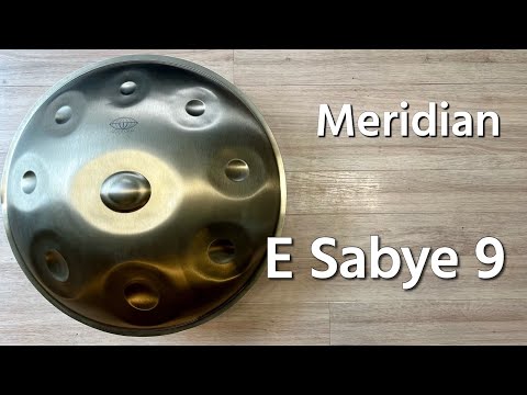【レンタルハンドパン】Meridian / E Sabye 9 試奏1