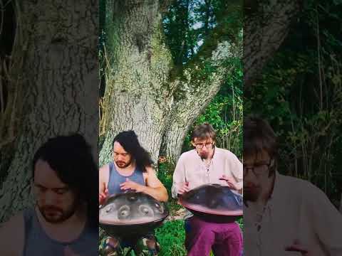 These two handpan scales go together so well! | Acero D Aegean 18 & Yatao F# Low Pygmy 19