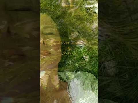 HLUBINA | Divine music by Bohéma 🌿#handpan#music#přítomnost í#bytí#léčení#svételnékódy