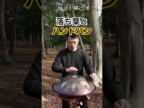 冬の終わりに林で「ハンドパン」を演奏 #handpan #handpanmusic #hangdrum #ハンドパン #instrumental #instrumentalmusic