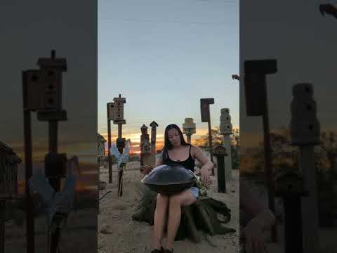 sunrise in the desert (Joshua Tree)