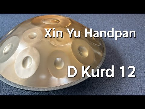 【ハンドパン販売】Xin Yu Handpan / D Kurd 12 試奏2