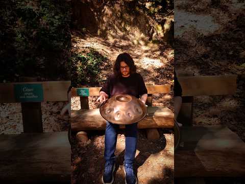 Handpan in the park with @mercuryharmonics ❤️ #shorts #viralshorts #handpan #meditation #relax