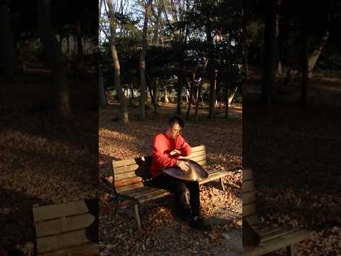 ハンドパン演奏で、ノスタルジックな雰囲気🍂 #handpanmusic #handpan #ハンドパン #hangdrum
