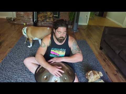 Day 64 [FLWR] D Kurd Handpan August 15, 2024