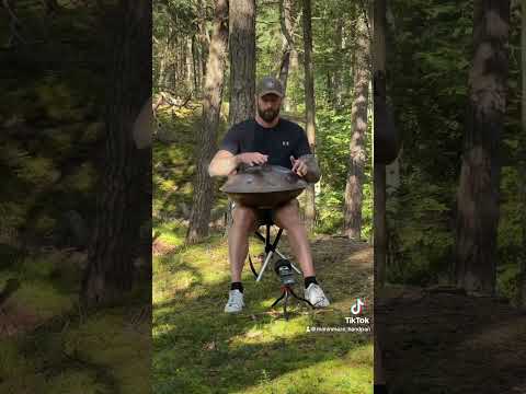 Handpan D-kurd 17