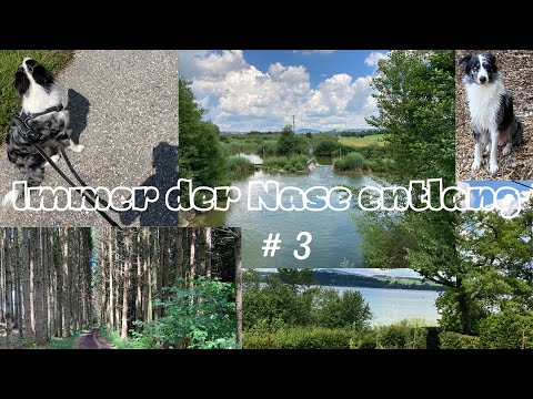 Seeumrundung mit Handpanklängen, Teil 3 / Lake circumnavigation with handpan sounds, part 3
