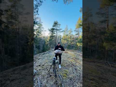 F#low pygmy handpan