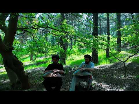1 Hour Handpan in Nature (D Kurd 432Hz) | Calm & Peaceful Loop  #elreinaman #handpan #ajdarhumbatov