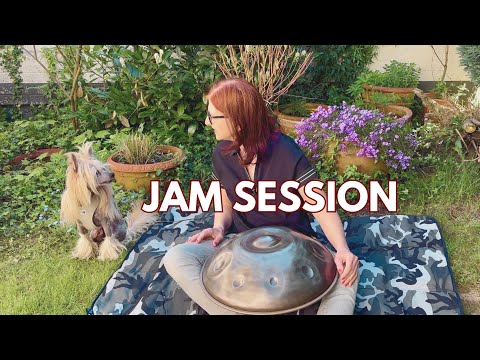 Polyrhythmik Handpan Jam Session mit meinem Hund