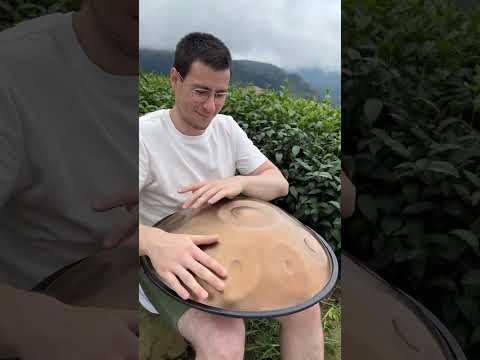 Handpan D Kurd 9 - Alishan - Taiwan