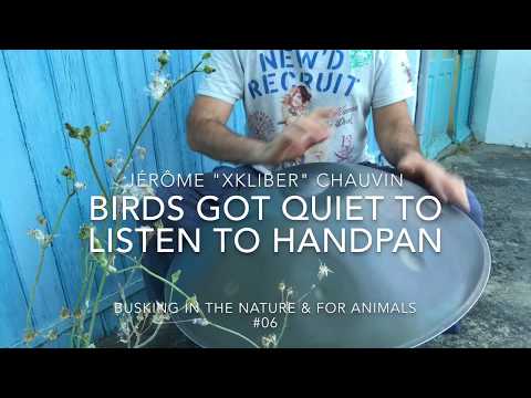 🐦🎶❤️ - HMFA N.06 - BIRDS GOT QUIET TO LISTEN TO HANDPAN - xkliber