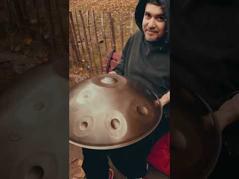 Every leaf carries a piece of summer away. 🍂 #handpanmusic #autumn #handpan #herbst